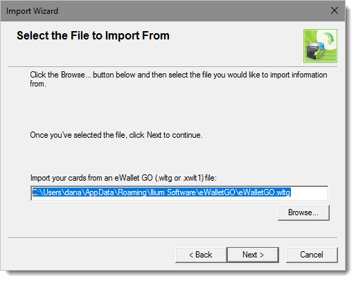 Screenshot, importing local GO file